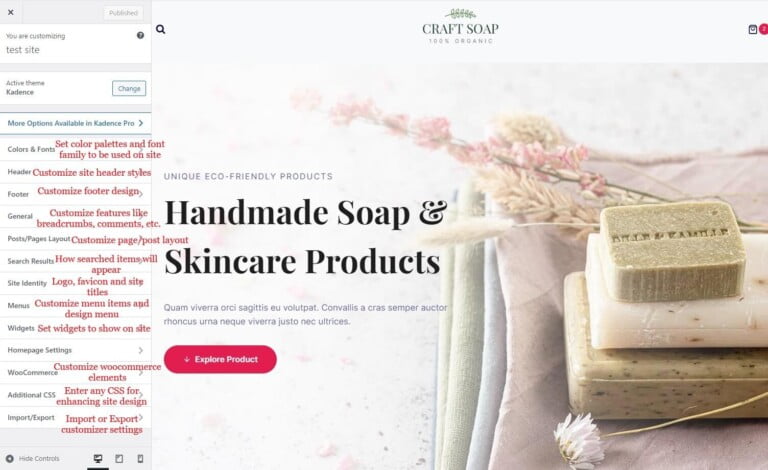wordpress customizer wordpress theme customizer