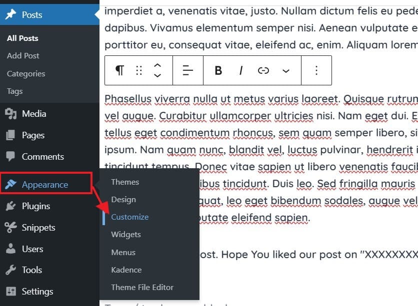 opening theme customizer to justify open theme customizer in wordpress